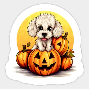 Poodle Dog inside Pumpkin #1 Sticker